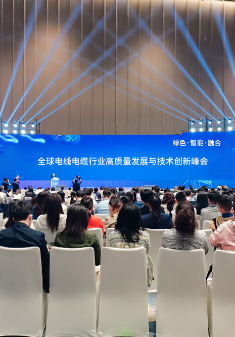全球電線電纜行業(yè)高質(zhì)量發(fā)展與技術(shù)創(chuàng)新峰會(huì)